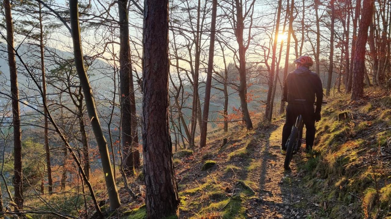 Exklusives Holzhaus Mit Bergbahn - Im Schwarzwald Hébergement de vacances *